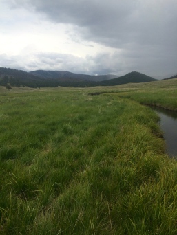 That View, Those Rain Clouds, Perfect Stream Fishing